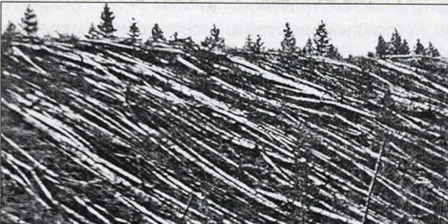 Photograph from the Tunguska event was a large explosion that occurred near the Stony Tunguska River, in what is now Krasnoyarsk Krai, Russia. Dated 1908. (Photo by: Universal History Archive/UIG via Getty Images)