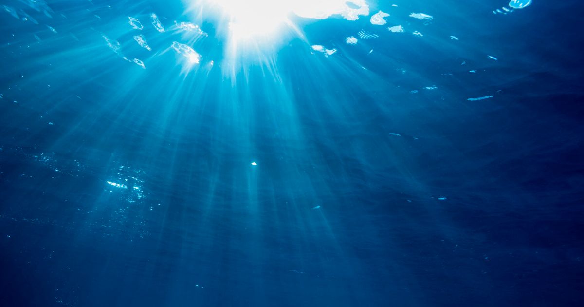 8 άγνωστες αλήθειες για το βαθύτερο σημείο των ωκεανών | HuffPost Greece