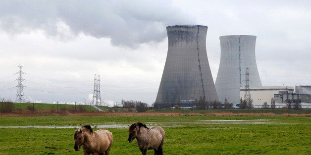 Horses graze in a field near the cooling towers of the Doel nuclear plant of Electrabel, the Belgian unit of French company Engie, former GDF Suez, in Doel near Antwerp, Belgium, January 4, 2016. REUTERS/Francois Lenoir