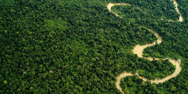 Aerial view of the Yavari Miri River and the Amazon Rainforest, Peru.