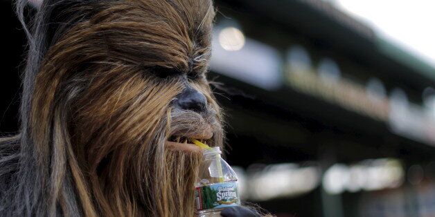 A person dressed as Star Wars character Chewbacca drinks some water before the MLB baseball game between the Tampa Bay Rays and the Boston Red Sox at Fenway Park in Boston, Massachusetts, United States May 4, 2015. REUTERS/Brian Snyder