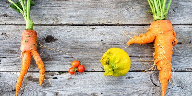 Trendy organic carrot, tomatos, leek and lemob from home garden bed on barn wood table, Australian grown.