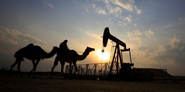 FILE- In this Sunday, Dec. 20, 2015 file photo, a man rides a camel through the desert oil field and winter camping area of Sakhir, Bahrain. OPEC nations have agreed in theory that they need to reduce their production to help boost global oil prices during a meeting in Algeria, but a major disagreement between regional rivals Saudi Arabia and Iran still may derail any cut. (AP Photo/Hasan Jamali, File)