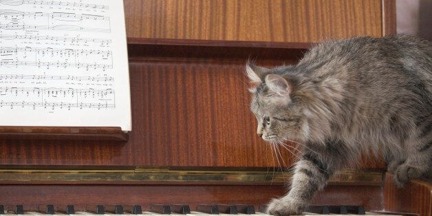 A piano with a sheet of music and a cat stepping onto the piano keys