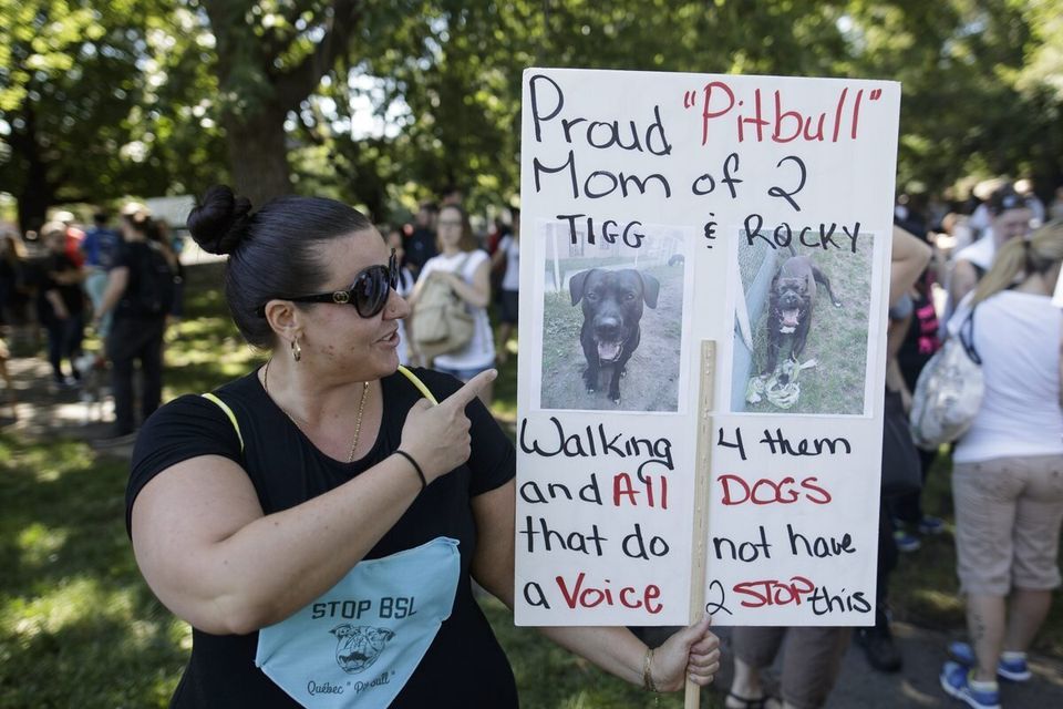 Marche pour la défense des pitbulls à Montréal (16 juillet 2016)