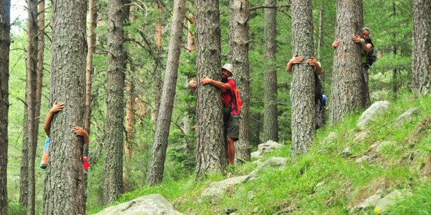 Tree hugging in Rila National Park, Bulgaria.