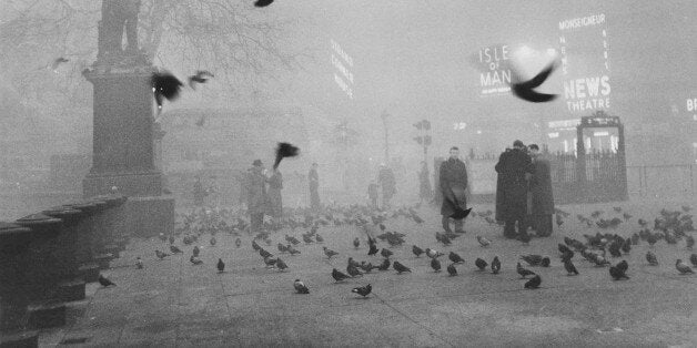 Pigeons swarm pedestrians as a thick fog shrouds Trafalgar Square and the rest of London.