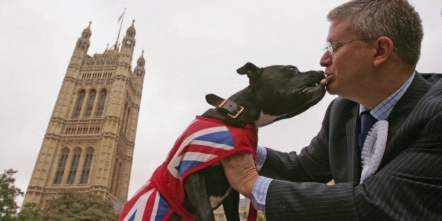 LONDON - OCTOBER 18: Andrew Rosindell, conservative MP for Romford plays with Buster, his 3 year-old Staffordshire Bull Terrier during 'Westminster Dog of the Year 2006' on October 18, 2006 in London, England. The Westminster Dog of the Year competition was open to all dog-owning parliamentarians and for the first time, dog-owning political journalists. Dogs were judged on their good deeds and behaviour. (Photo by Scott Barbour/Getty Images)