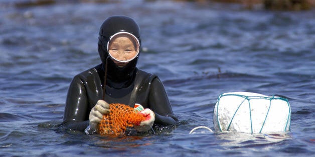 JEJU, REPUBLIC OF KOREA: A haenyo, South Korea's legendary water woman, works off the coast of this southern island of Jeju, 05 April 2005. They comb the sea bottom to collect sea food. This unique way of life that has sustained the livelihood in this southern island for hundreds of years is disappearing as young women do not take up the mantle of haenyos. AFP PHOTO/JUNG YEON-JE (Photo credit should read JUNG YEON-JE/AFP/Getty Images)