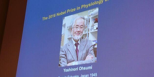 A photo of Yoshinori Ohsumi of Japan can be seen on the speaker's desk at the Nobel Forum in Stockholm, after the announcement he won the Nobel Prize in Medicine on October 3, 2016.The 2016 Nobel prize season kicks off with the announcement of the medicine prize by a scandal-tainted jury, to be followed over the next 10 days by the other science awards and those for peace and literature. / AFP / JONATHAN NACKSTRAND (Photo credit should read JONATHAN NACKSTRAND/AFP/Getty Images)