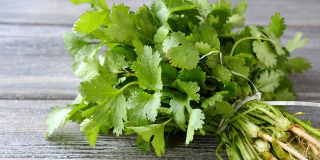 Green cilantro on a wooden boards, food close-up