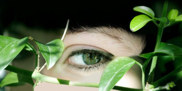 Argentina, Buenos Aires, young woman's eye behind plants