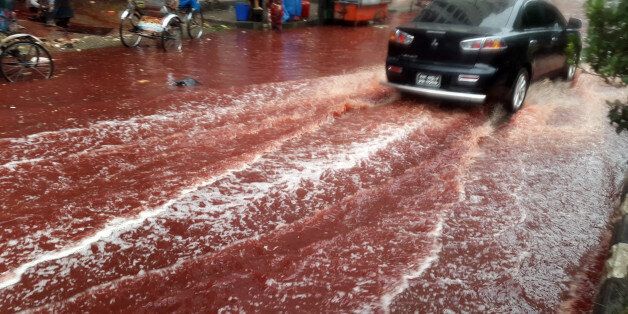 In this Tuesday, Sept. 13, 2016 photo, a car drives past a road turned red after blood from sacrificial animals on Eid al-Adha mixed with water from heavy rainfall in Dhaka, Bangladesh. Authorities in Dhaka had assigned several places in the city where residents could slaughter animals, but the heavy downpours Tuesday meant few people could use the designated areas. (AP Photo)