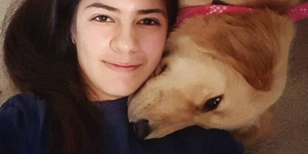 Γνωρίστε την Harlow, το έξυπνο Golden Retriever, που μαζεύει τα ρούχα από το πλυντήριο της άρρωστης ιδιοκτήτριάς