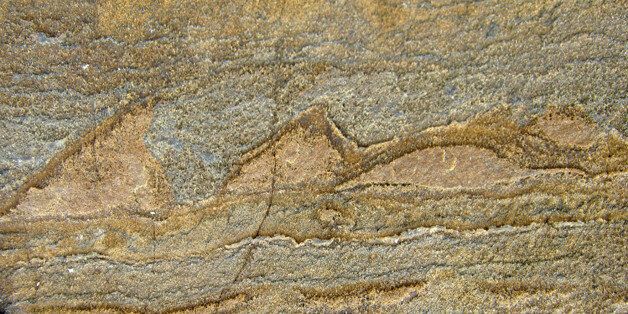 In this photo provided by Allen Nutman, a rock with the stromatolites, tiny layered structures from 3.7 billion years ago that are remnants from a community of microbes that used to be live there. Scientists have found what they think is the oldest fossil on Earth, a remnant of life from 3.7 billion years ago when Earthâs skies were orange and its oceans green. In a newly melted part of Greenland, Australian scientists found the leftover structure from a community of microbes that lived on an ancient seafloor, according to a study in Wednesday, Aug. 31, 2016 journal Nature. (Allen Nutman/University of Wollongong via AP)