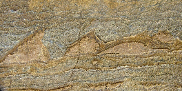 In this photo provided by Allen Nutman, a rock with the stromatolites, tiny layered structures from 3.7 billion years ago that are remnants from a community of microbes that used to be live there. Scientists have found what they think is the oldest fossil on Earth, a remnant of life from 3.7 billion years ago when Earthâs skies were orange and its oceans green. In a newly melted part of Greenland, Australian scientists found the leftover structure from a community of microbes that lived on an ancient seafloor, according to a study in Wednesday, Aug. 31, 2016 journal Nature. (Allen Nutman/University of Wollongong via AP)