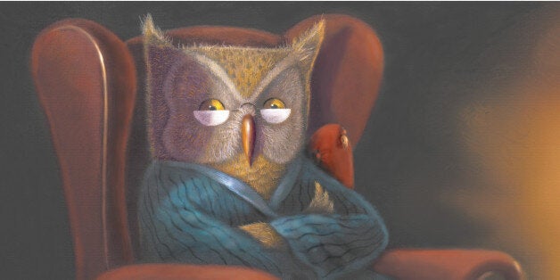 An owl with glasses in a robe with arms crossed in an armchair