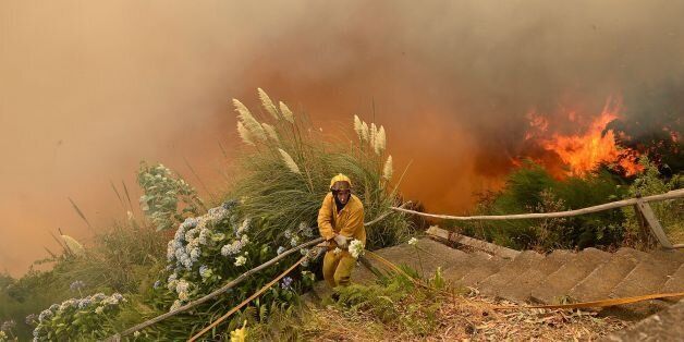 A firefighter tries to extinguish a wildfire at Curral dos Romeiros, Funchal in Madeira island on August 9, 2016.Several houses were destroyed by multiple blazes in the region of Funchal and some 250 people were evacuated to spend the safe night in military installations, said the head of the Civil Protection government regional, Rubina Leal. / AFP / JOANA SOUSA (Photo credit should read JOANA SOUSA/AFP/Getty Images)