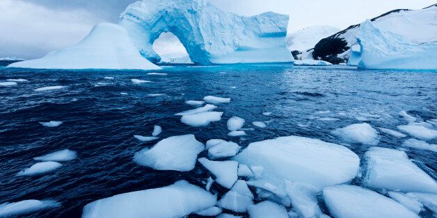 Antarctica, Antarctic Peninsula, Ice floe floating on water