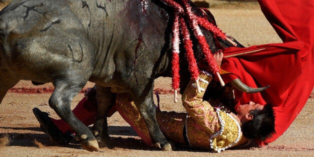 Spanish bullfighter Francisco Marco is tossed by a bull during a bullfight at the San Fermin festival in Pamplona July 9, 2016. REUTERS/Eloy Alonso