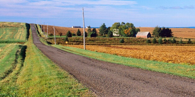 Rural road along farms in Hampton, Prince Edward Island, Canada