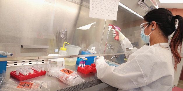 MADISON, WI - JUNE 28: Mariel Mohns, a research specialist at the AIDS Vaccine Research Labs at the University of Wisconsin-Madison, processes body fluids taken from pregnant rhesus macaque monkeys infected with the Zika virus on June 28, 2016 in Madison, Wisconsin. Researchers at the University released a study today detailing how research at the facility has found the Zika virus persisted in the blood of pregnant monkeys for 30 to 70 days but only around 7 days in others. The study also found that monkeys previously infected with the virus were resistant to a second infection, which suggests the animals have a naturally occurring immunity. Health professionals in the United States are preparing for the possibility of an epidemic of Zika which can be transmitted by mosquitoes. (Photo by Scott Olson/Getty Images)