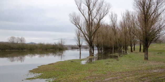 Spring flooding. Natural disaster. Flooding of the Tisza river at Tiszalok, Hungary. Flooded forest.