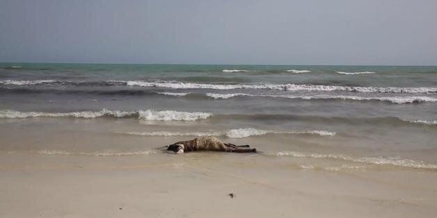 The lifeless body of a migrant lays on the beach near the western city of Zwara, Libya, Thursday June 2, 2016, as rescue workers begin to retrieve some of the more than 100 bodies pulled from the sea, after a smuggling boat carrying mainly African migrants sank into the Mediterranean. Libya's navy spokesman Col. Ayoub Gassim says, Friday June 3, that the bodies of more than 100 migrants have been retrieved, but the death toll is likely to be higher. (APTV via AP) TV OUT
