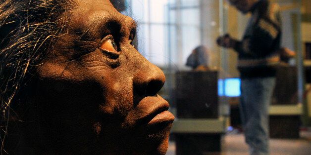 Washington, DC - March, 15: The Smithsonian Museum of Natural History is about to open its' new Hall of Human Origins, March 15, 2010 in Washington, DC. Pictured, a sculpted model of Homo Floresiensis, left, with its' creator, artist John Gurche, right, who spent two years creating 8 busts for the exhibit. (Photo by Bill O'Leary/The Washington Post via Getty Images)