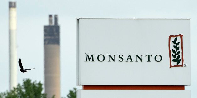 A picture taken on May 24, 2016 in Lillo near Antwerp shows the Monsanto logo at the firm Manufacturing Site and Operations Center. German chemicals and pharmaceuticals giant Bayer, a household name thanks to its painkiller Aspirin, said this week that it is offering $122 per share in cash for Monsanto, or $62 billion (55 billion euros) in all. It would be the biggest takeover by a German group of a foreign company and would create a new world leader in seeds, pesticides and genetically modified (GM) crops. / AFP / JOHN THYS (Photo credit should read JOHN THYS/AFP/Getty Images)