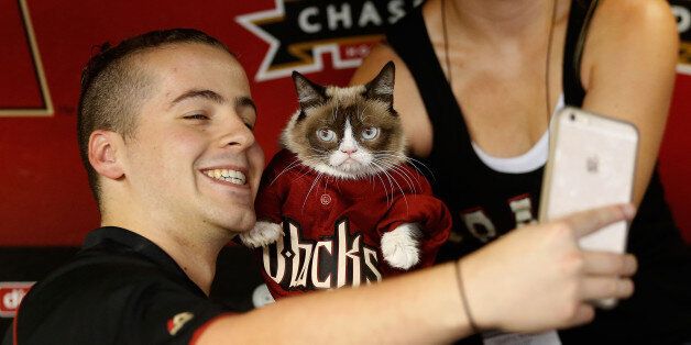 PHOENIX, AZ - SEPTEMBER 07: 'Grumpy Cat' poses for a selfie with a fan before the MLB game between the Arizona Diamondbacks and the San Francisco Giants at Chase Field on September 7, 2015 in Phoenix, Arizona. (Photo by Christian Petersen/Getty Images)