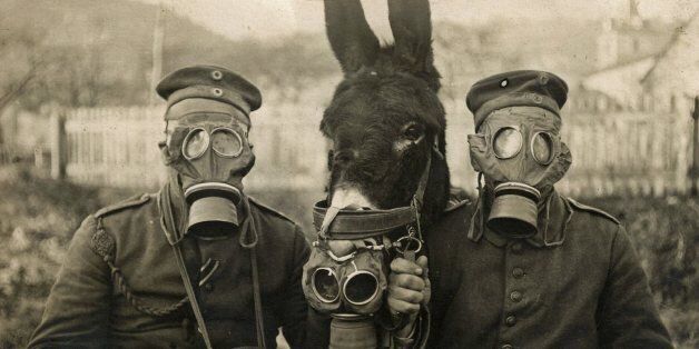 Photograph of German Soldiers and Donkey wearing gas masks during World War One. Dated 1915. (Photo by Universal History Archive/UIG via Getty Images)