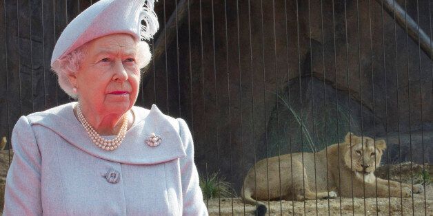 Britain's Queen Elizabeth visits the new Asiatic lion enclosure at London Zoo, March 17, 2016. REUTERS/Arthur Edwards/Pool