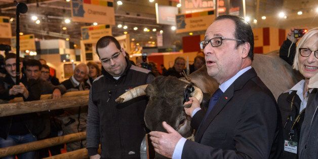 French President Francois Hollande holds a cow's horn, during his visit to the Agriculture Fair, in Paris, Saturday, Feb. 27, 2016. (Christophe Petit Tesson/Pool Photo via AP)