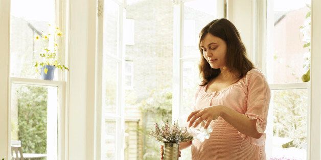 Pregnant woman watering potted plant