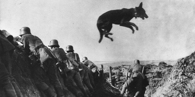 (GERMANY OUT) World War I. German school for messenger dogs in France. Dog jumping over a dugout. It is wearing a message around his neck. Summer 1917 (Photo by ullstein bild/ullstein bild via Getty Images)