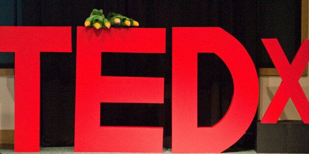 The first local TEDx conference at George Mason University featured some of the most compelling and thought-provoking movers and shakers within the Mason community. Topics range from astronomy to theater, anthropology to mathematics, translating texts to neuroscience.