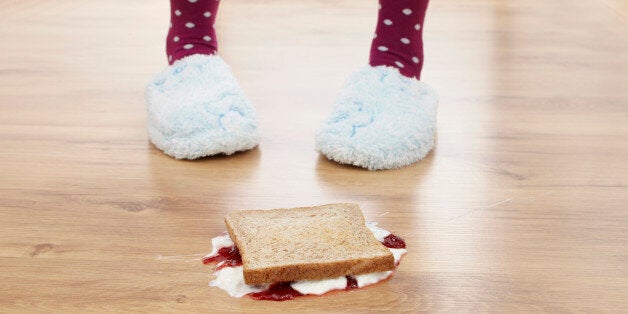 jam sandwich fallen on the floor