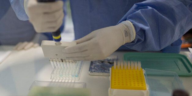 A graduate student works on analyzing samples to identify the Zika virus in a laboratory at the Fiocruz institute in Rio de Janeiro, Brazil, Friday, Jan. 22, 2016. Health officials say they're trying to determine if an unusual jump in cases of a rare nerve condition sometimes severe enough to cause paralysis is related to the spread of the mosquito-borne Zika virus in at least two Latin American countries. (AP Photo/Leo Correa)
