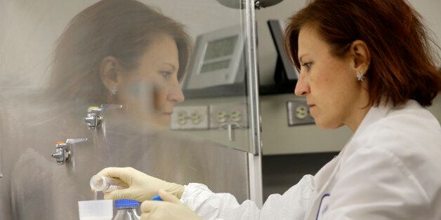 Quality control manager Nina Kotlyarova checks samples for unwanted bacteria as part of the process for making an influenza vaccine at Protein Sciences in Pearl River, N.Y., Tuesday, Aug. 18, 2015. Flublok, Protein Sciences Corp.âs genetically engineered vaccine, is for people allergic to eggs but approved for anyone 18 or older. Itâs manufactured in weeks inside caterpillar cells, based on the genetic code for a flu virus surface protein, rather than by incubating influenza virus in eggs for several months, as with traditional vaccines. (AP Photo/Seth Wenig)