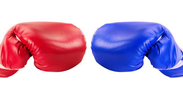 boxing gloves isolated on the white background.