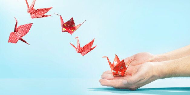 red, cranes, origami, floral, checked, blue, hands, hand, finger, fingers, flying away, studio, studio background
