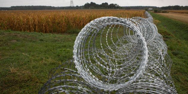 Coils of razor wire are extended in a field on Hungarian border in Pince, Slovenia, Friday, Sept. 25, 2015. Hungary has installed spools of razor wire near a border crossing with Slovenia, which like Hungary is part of the EU's Schengen zone of passport-free travel. (AP Photo/Darko Bandic)