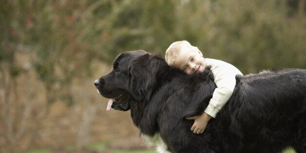 Boy (6-7) hugging black Newfoundland outdoors