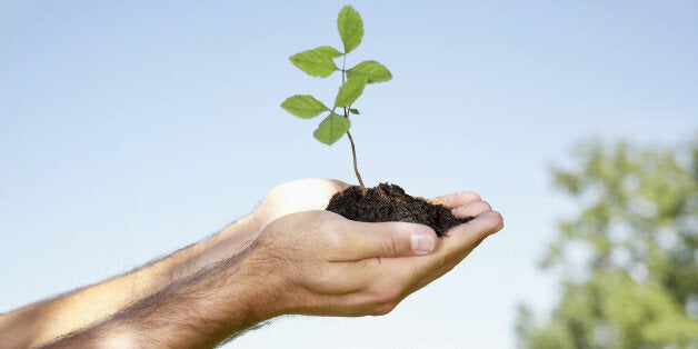 Germany, Cologne, Young man holding seedling