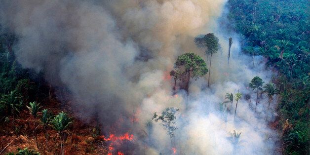 Aerial view of rainforest being burned to clear land to make pasture for cattle ranching and for growing crops, Para, Amazon basin, Brazil.
