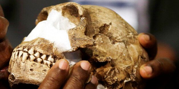 South Africa Deputy President Cyril Ramaphosa, kisses a reconstruction of Homo naledi's face during the announcement made at Maropeng Cradle of Humankind in Magaliesburg, South Africa, Thursday, Sept. 10, 2015. Scientists say they've discovered a new member of the human family tree, revealed by a huge trove of bones in a barely accessible, pitch-dark chamber of a cave in South Africa. (AP Photo/Themba Hadebe)