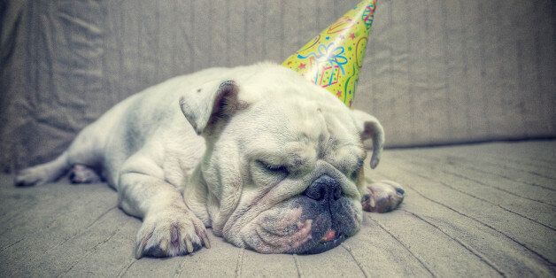 Can not find a single piece of me, game over!I don't want to wake up after a birthday party!