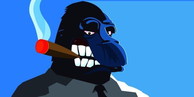 A bossy gorilla smoking a big cigar.