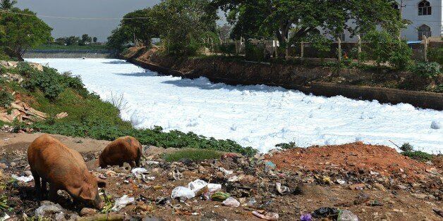 A canal which once carried water from Bellandur Lake to Varthur Lake is filled with froth emanating from sewage in east Bangalore on May 1, 2015. The innocuous-looking foam, which from a distance, looks like snow is nothing but toxic effluent caused by the polluted sewage water overflowing from nearby Bellandur Lake. The foam is a result of the water in the lake having high content of ammonia and phosphate and very low dissolved oxygen. Sewage from many parts of the Bangalore is released into lakes, leaving it extremely polluted. The foam during heavy rains spill onto the road, causing a traffic pile besides spreading unbearable stench in the air in the neighbourhood. AFP PHOTO/Manjunath KIRAN (Photo credit should read MANJUNATH KIRAN/AFP/Getty Images)